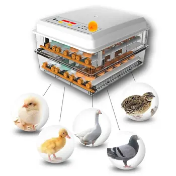 באופן מלא אוטומטי 220V ביצים במדגרה ציפור הדוגרת שליו במדגריית האינקובטור עופות האצ ' ר חוות דגירה התרמוסטט כלים
