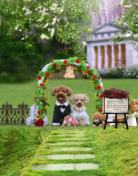 חיות מחמד כלבים פרחים לחתונה צילום תפאורות צילום אביזרים סטודיו רקע 5x7ft