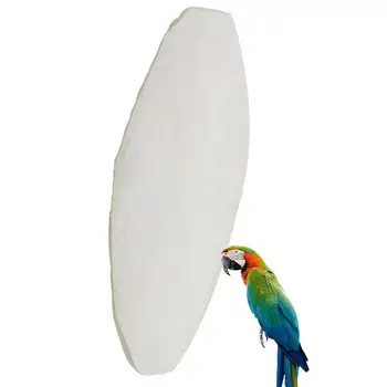 ציפור Cuttlebone על תוכי קאטל עצם בכמות גדולה של ציפורים סידן התוכי מקור האבן קאטל עצם עבור תוכים Budgies Cockatiels